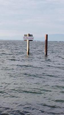 Прикрепленное изображение: KbXydgE_lepro_thumbnail.jpg